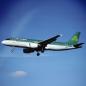 Preview: Aer Lingus Airbus A320 Grün Aviationtag