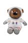 Preview: Astronautbär Apollo 25 cm