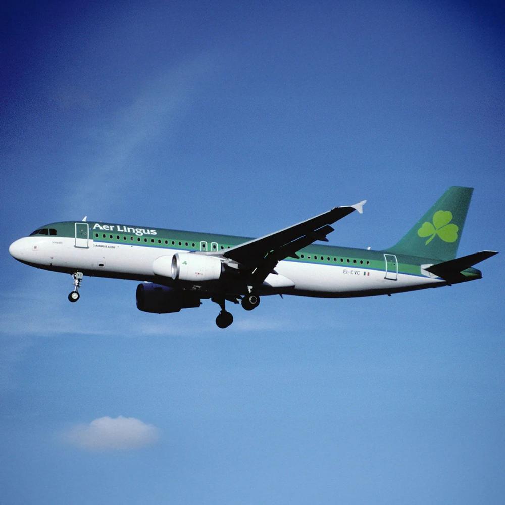 Aer Lingus Airbus A320 Grün Aviationtag