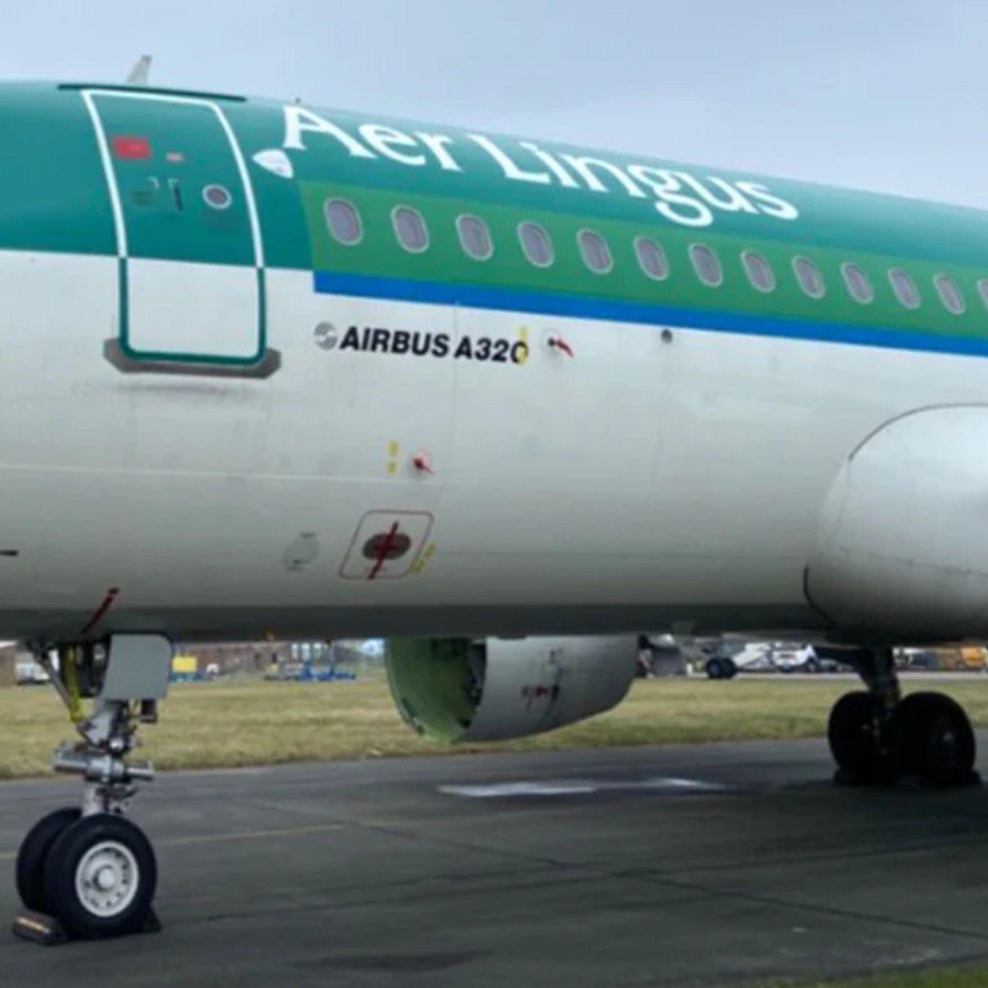 Aer Lingus Airbus A320 Grün Aviationtag